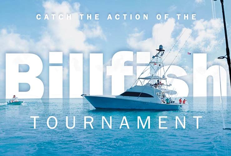 Torneo de pesca Solmar Resort Cabo San Lucas Torneo de pesca Solmar Resort Cabo San Lucas